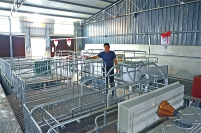 自动环保养殖设备让生猪养殖更轻松
